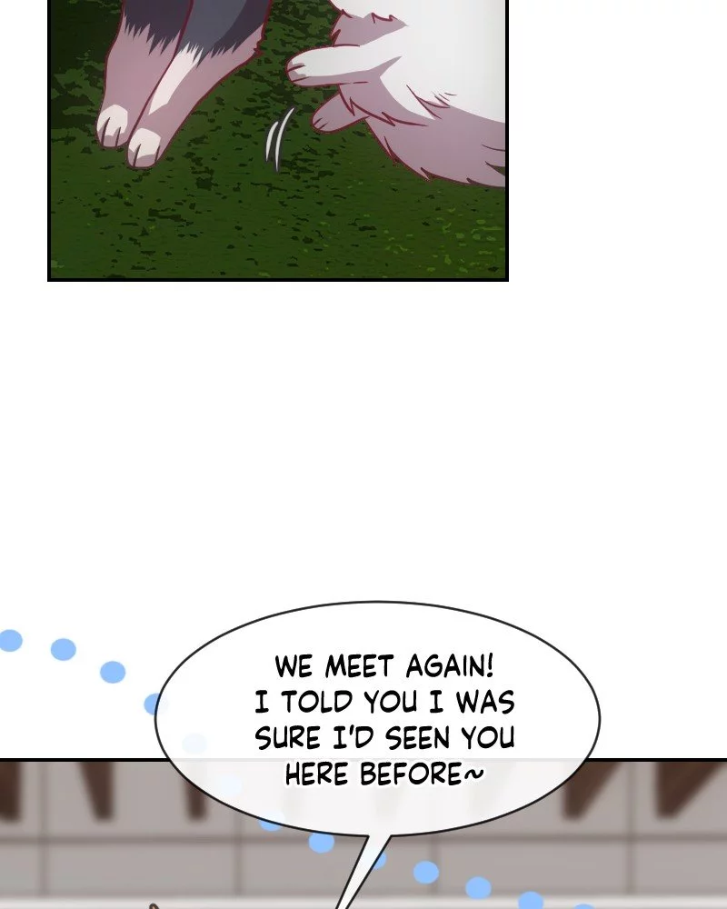 Read Age Matters Manga Online