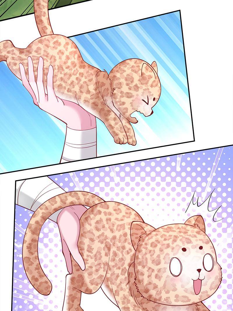 Read Beauty and the Beasts Manga Online