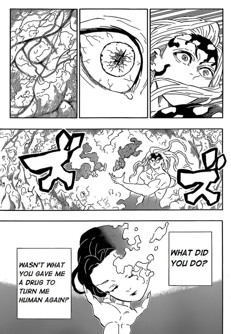Read Demon Slayer Manga Online