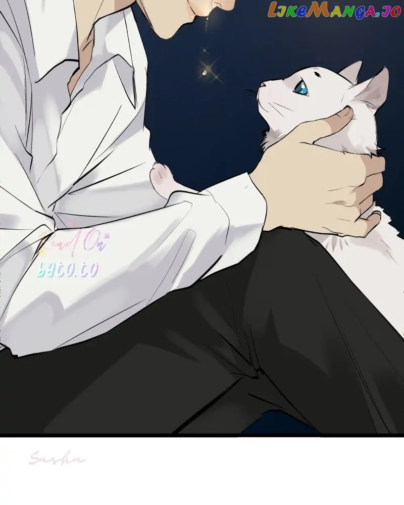 Read Freaking Romance Manga Online