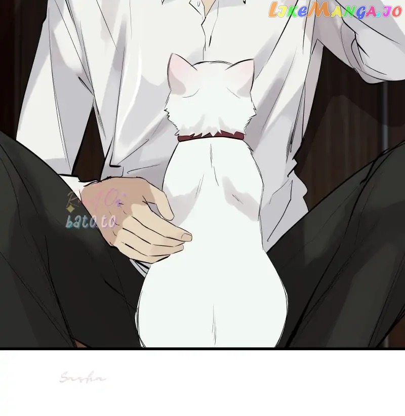 Read Freaking Romance Manga Online