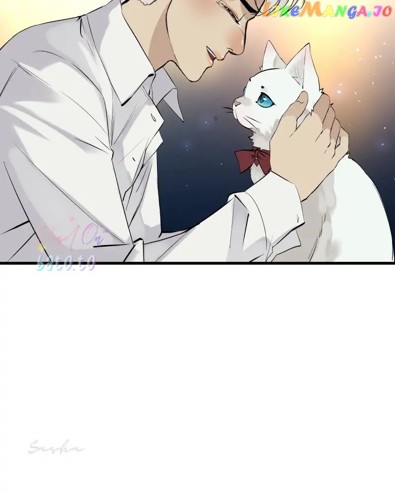 Read Freaking Romance Manga Online