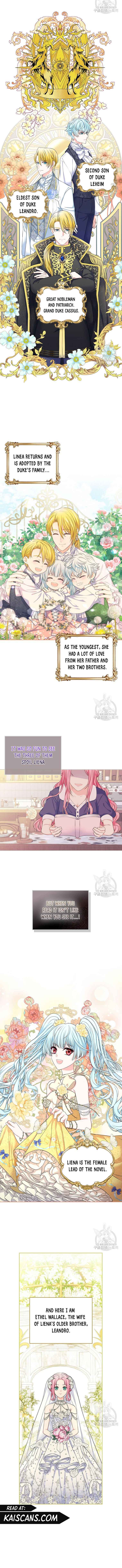 Read I Will Divorce the Female Lead’s Siscon Brother Manga Online