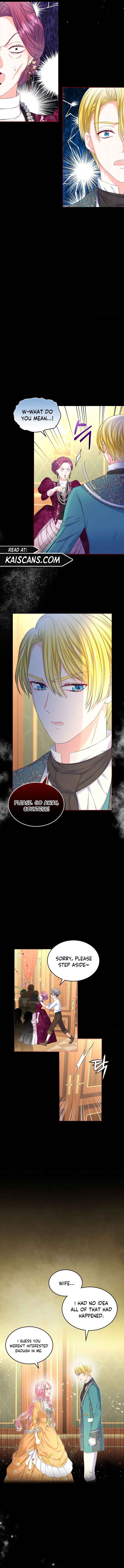 Read I Will Divorce the Female Lead’s Siscon Brother Manga Online