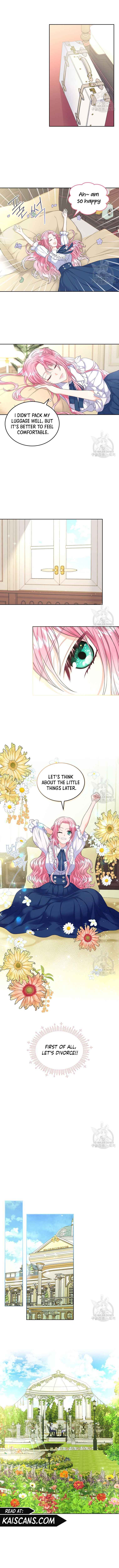Read I Will Divorce the Female Lead’s Siscon Brother Manga Online