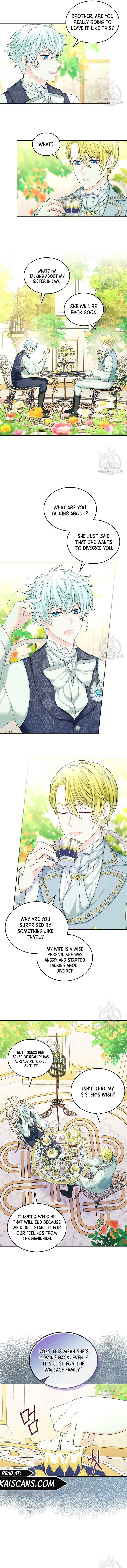 Read I Will Divorce the Female Lead’s Siscon Brother Manga Online