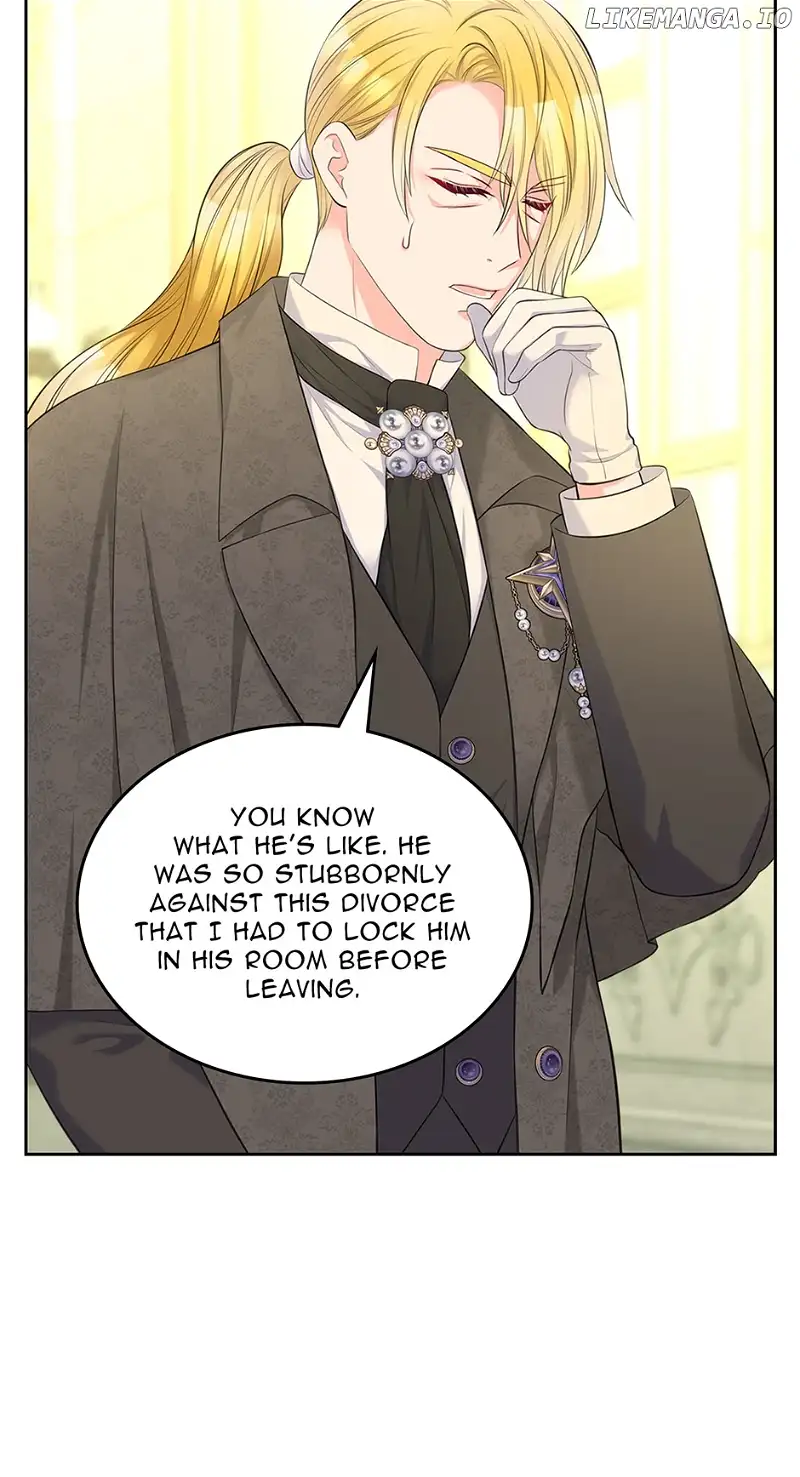 Read I Will Divorce the Female Lead’s Siscon Brother Manga Online
