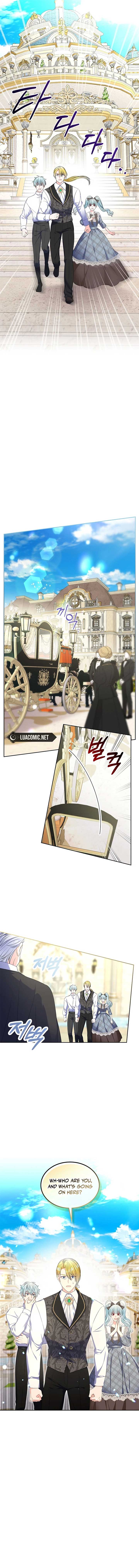 Read I Will Divorce the Female Lead’s Siscon Brother Manga Online
