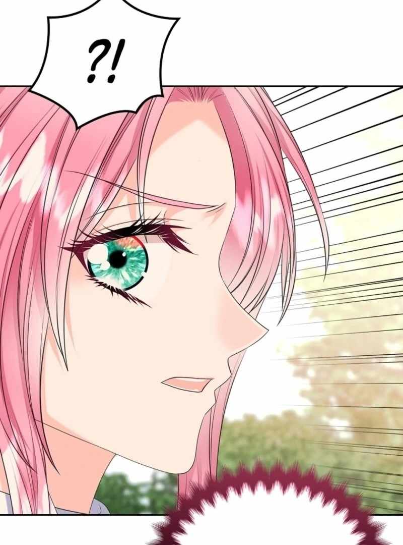 Read I Will Divorce the Female Lead’s Siscon Brother Manga Online