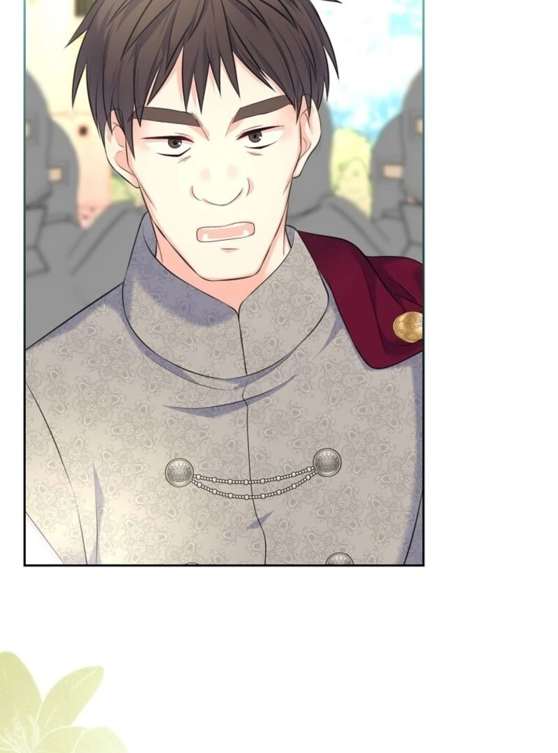 Read I Will Divorce the Female Lead’s Siscon Brother Manga Online