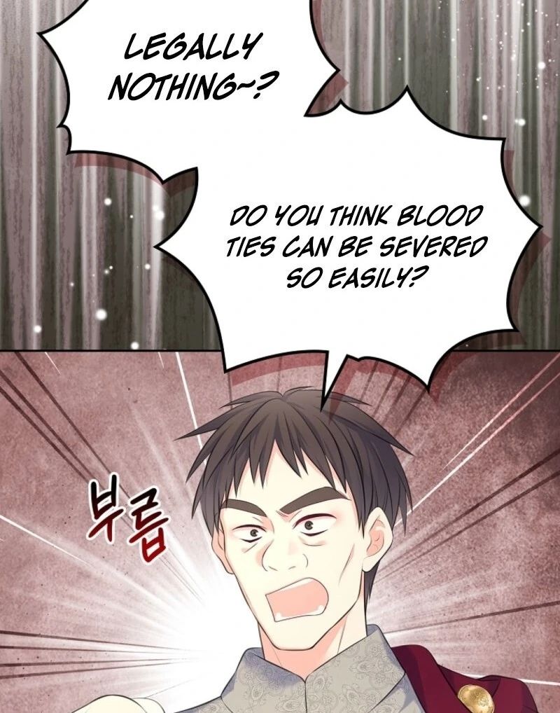 Read I Will Divorce the Female Lead’s Siscon Brother Manga Online