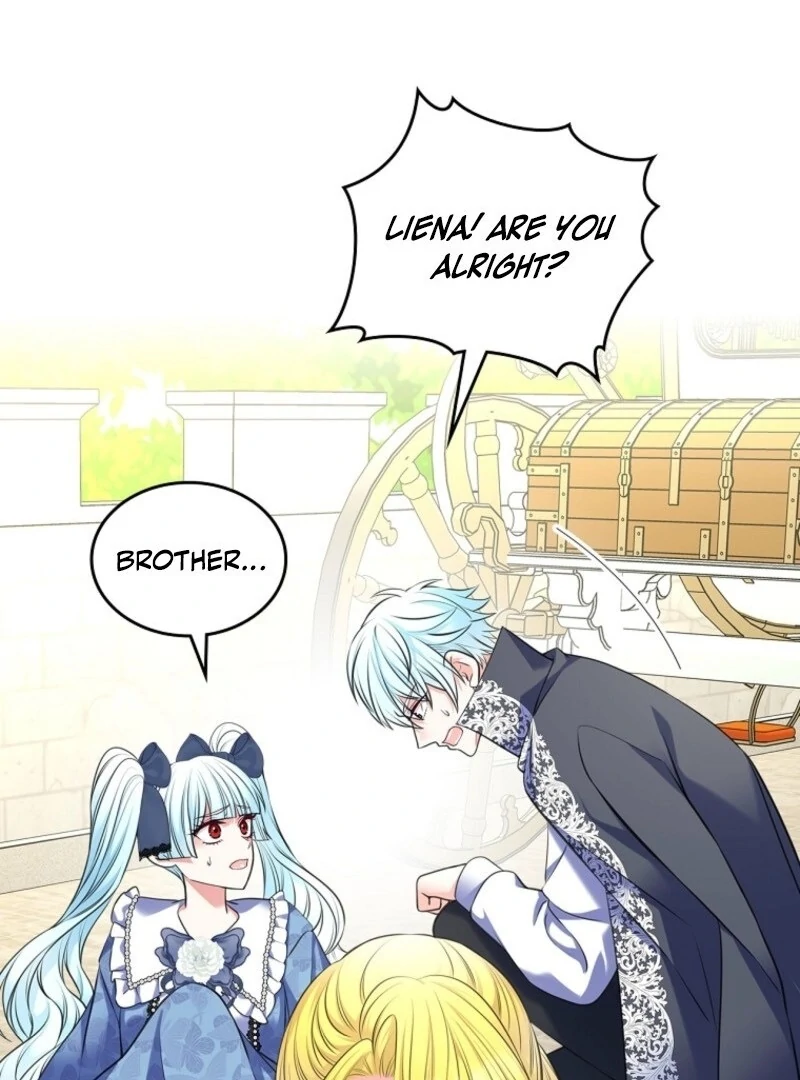 Read I Will Divorce the Female Lead’s Siscon Brother Manga Online