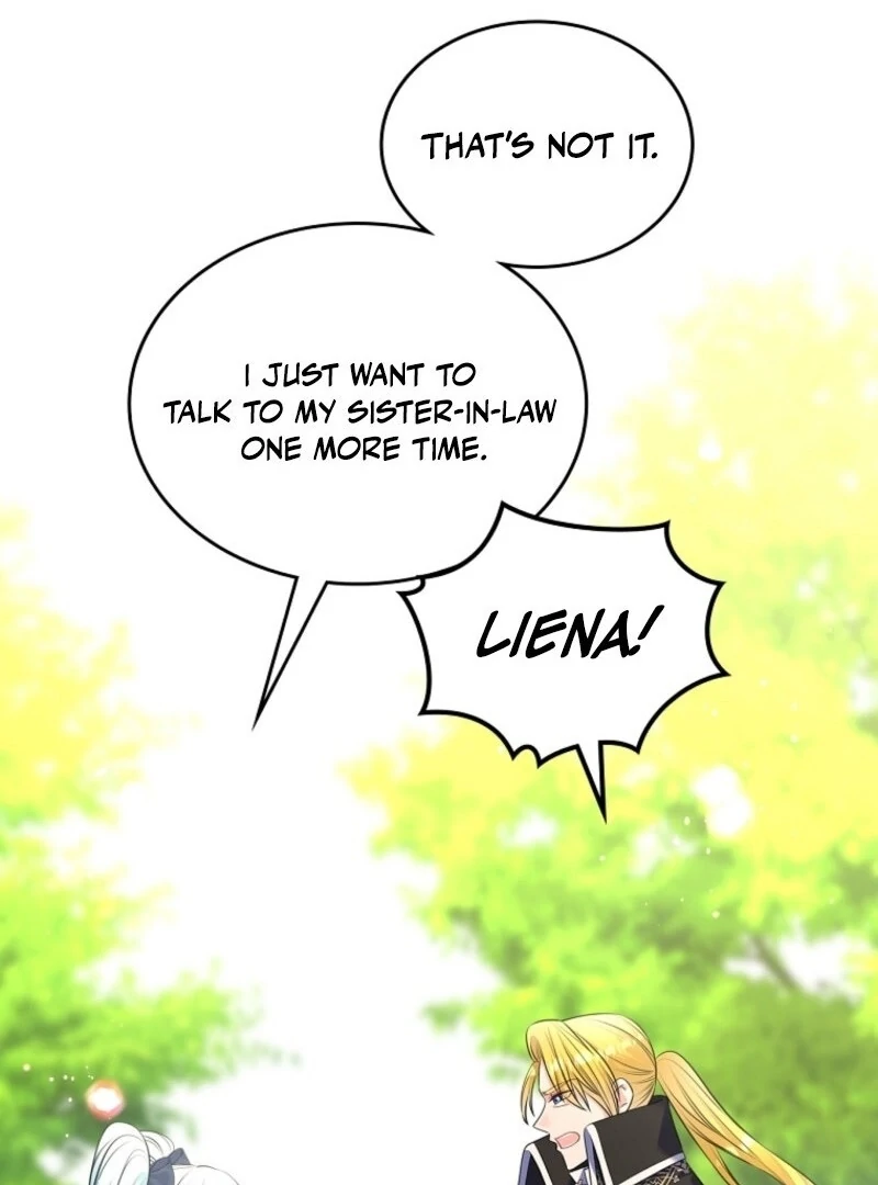 Read I Will Divorce the Female Lead’s Siscon Brother Manga Online