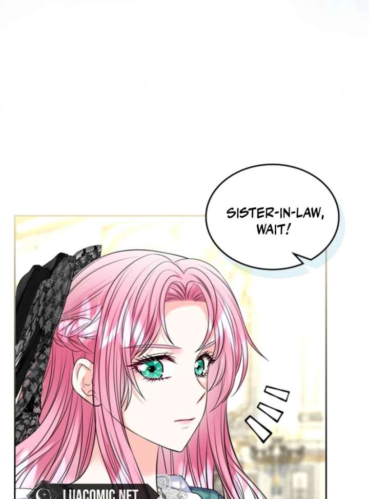 Read I Will Divorce the Female Lead’s Siscon Brother Manga Online