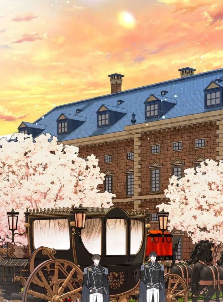 Read I Will Divorce the Female Lead’s Siscon Brother Manga Online