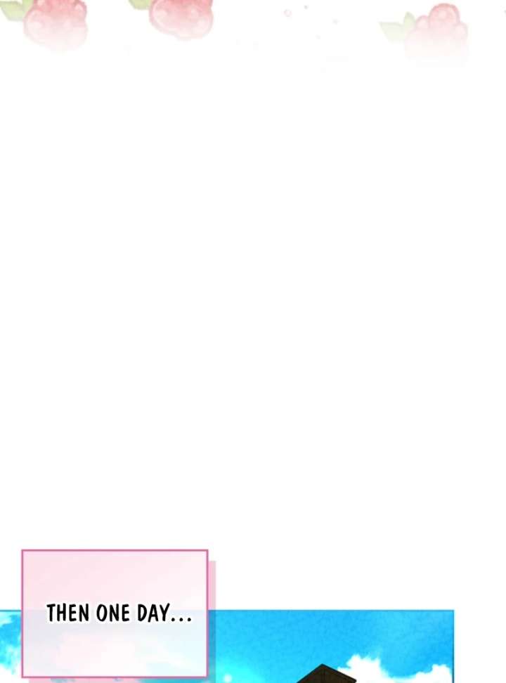 Read I Will Divorce the Female Lead’s Siscon Brother Manga Online