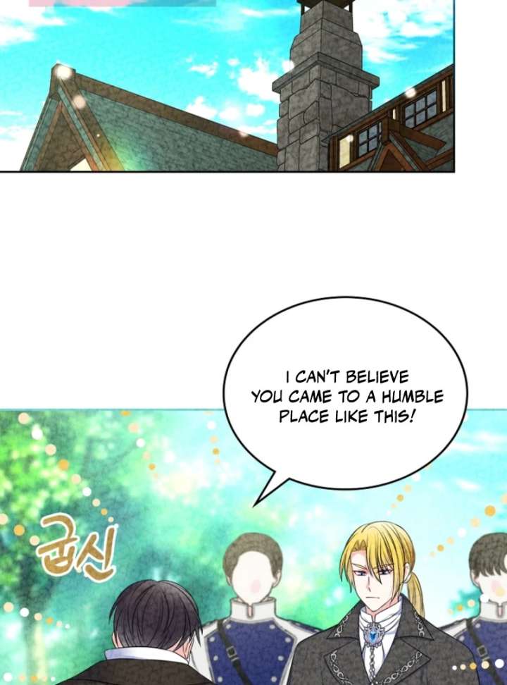 Read I Will Divorce the Female Lead’s Siscon Brother Manga Online