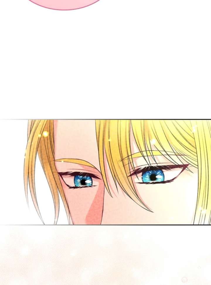 Read I Will Divorce the Female Lead’s Siscon Brother Manga Online