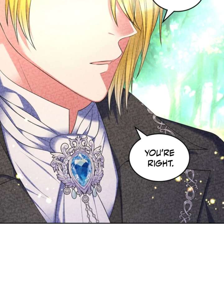 Read I Will Divorce the Female Lead’s Siscon Brother Manga Online