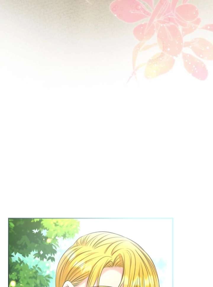 Read I Will Divorce the Female Lead’s Siscon Brother Manga Online