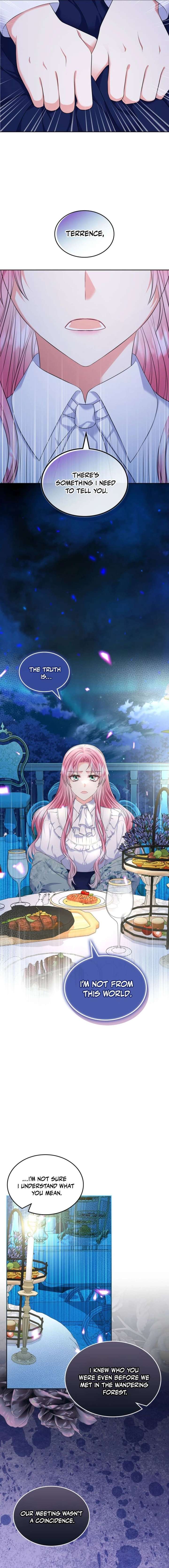 Read I Will Divorce the Female Lead’s Siscon Brother Manga Online