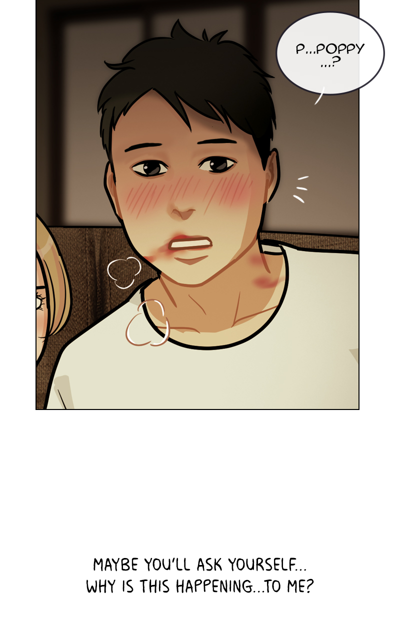 Read Midnight Poppy Land Manga Online