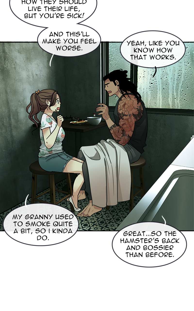Read Midnight Poppy Land Manga Online