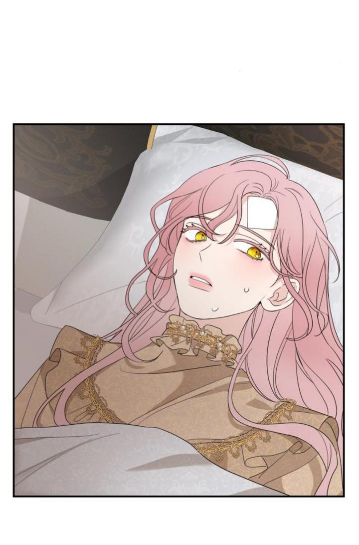 Read My In-laws are Obsessed With Me Manga Online