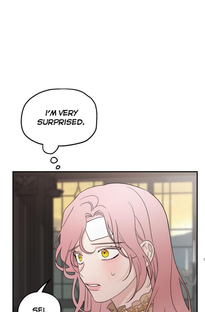 Read My In-laws are Obsessed With Me Manga Online