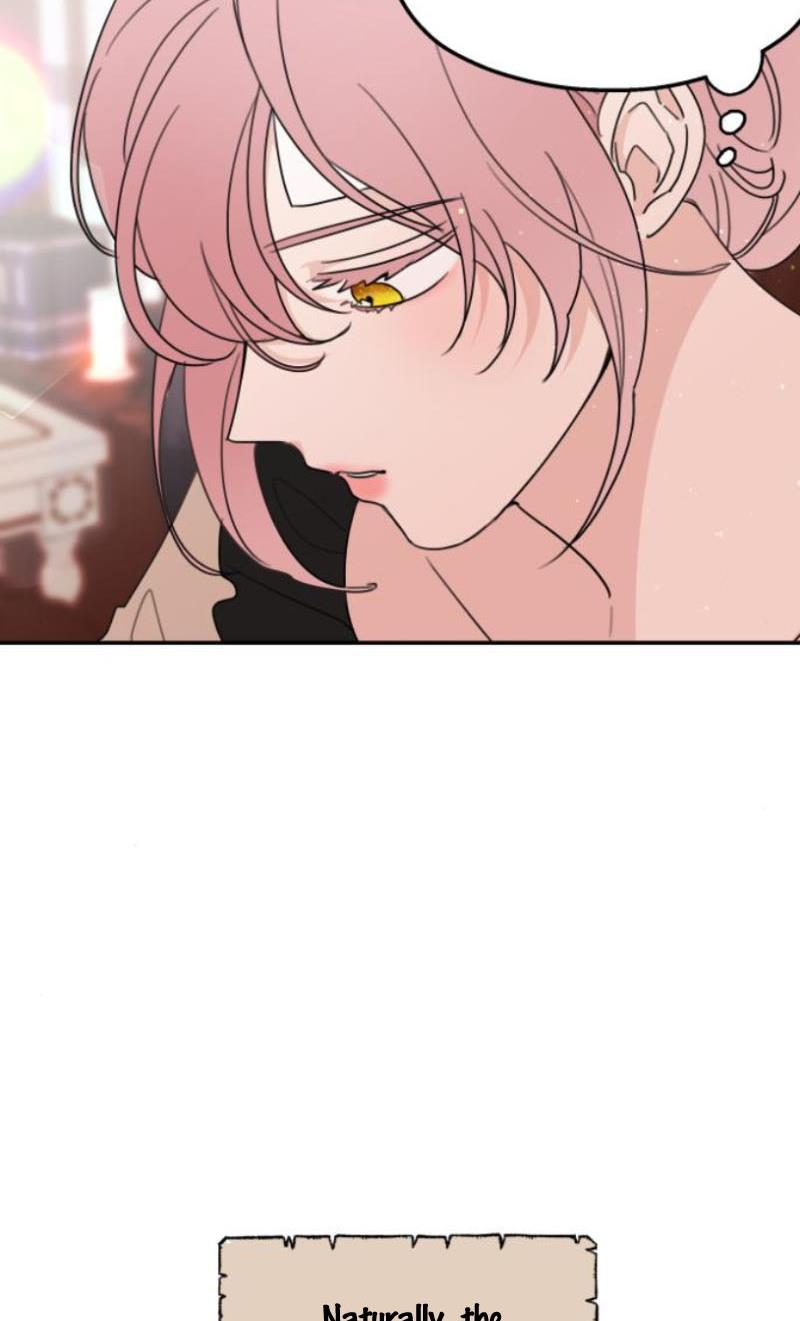 Read My In-laws are Obsessed With Me Manga Online