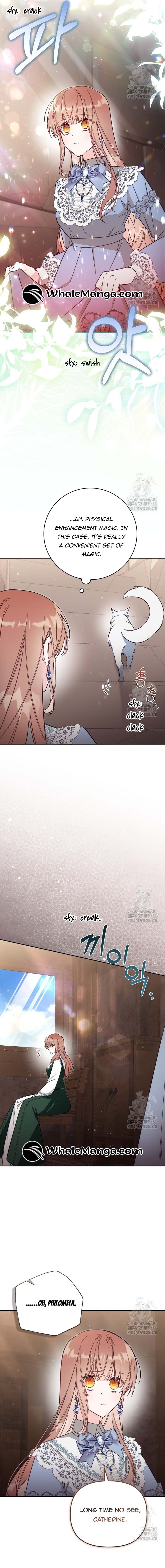 Read No Place for the Fake Princess Manga Online
