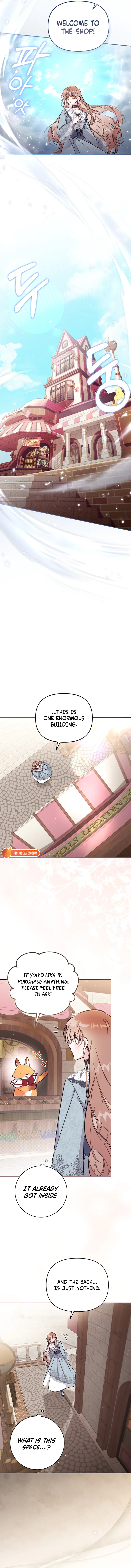 Read No Place for the Fake Princess Manga Online