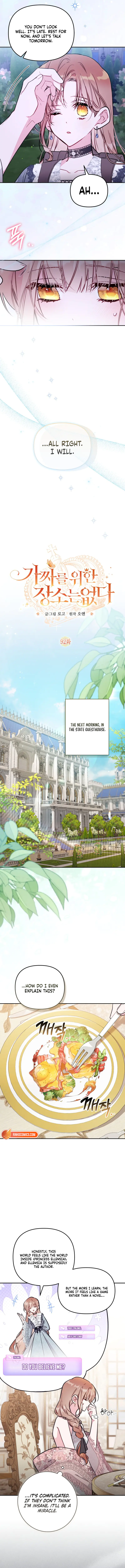 Read No Place for the Fake Princess Manga Online