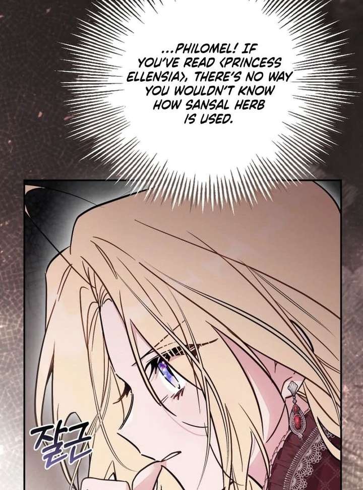 Read No Place for the Fake Princess Manga Online