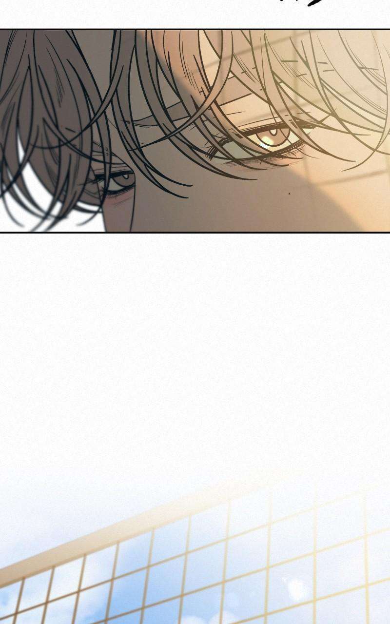 Read Operation True Love Manga Online