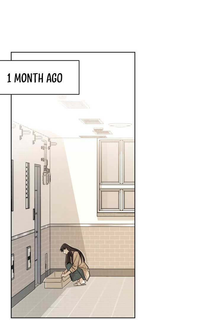 Read Perfect Contract Manga Online