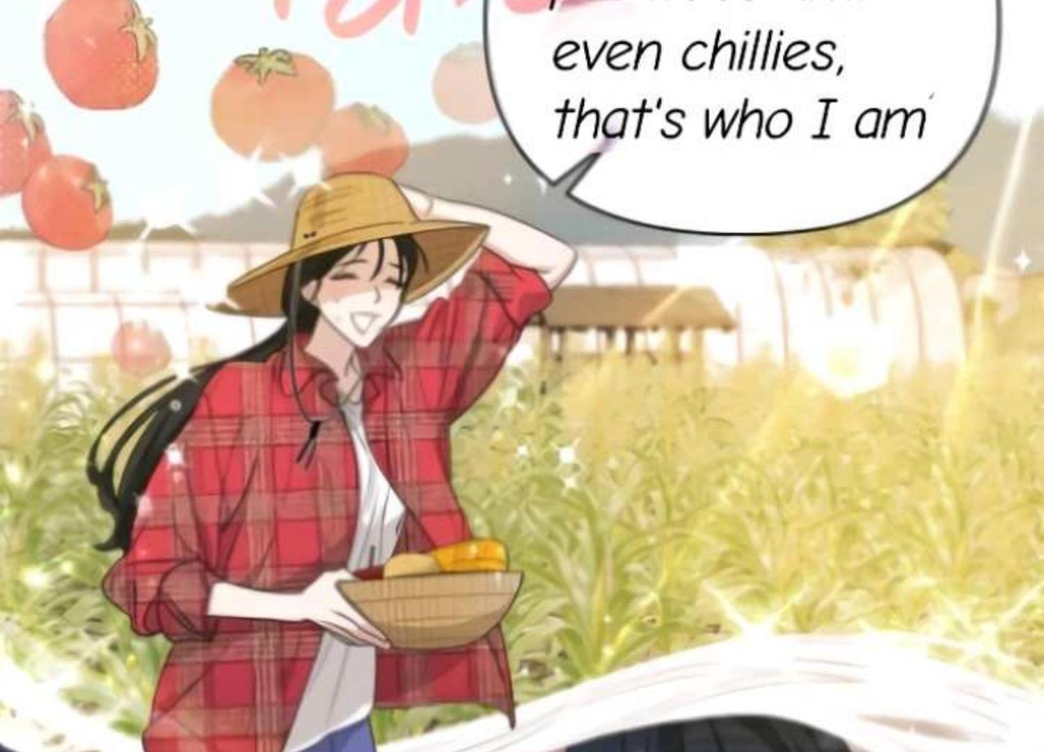 Read Perfect Contract Manga Online