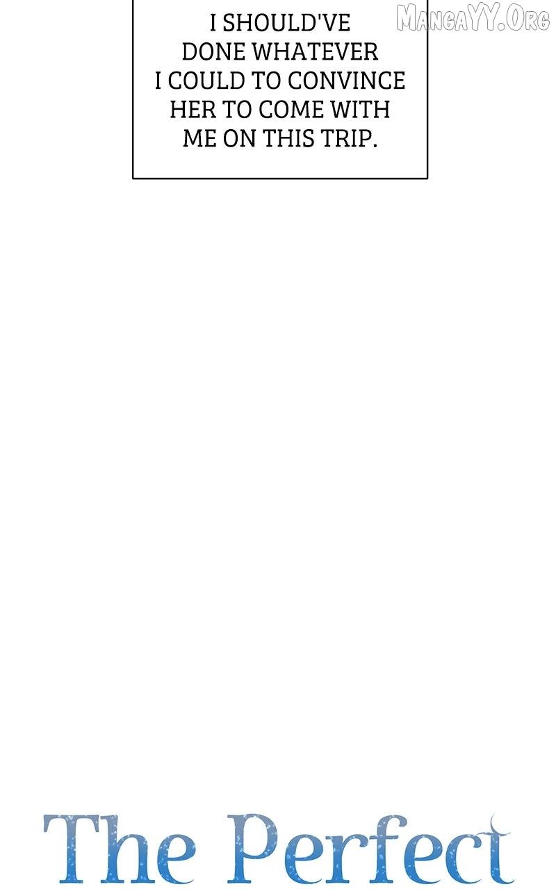 Read Perfect Contract Manga Online