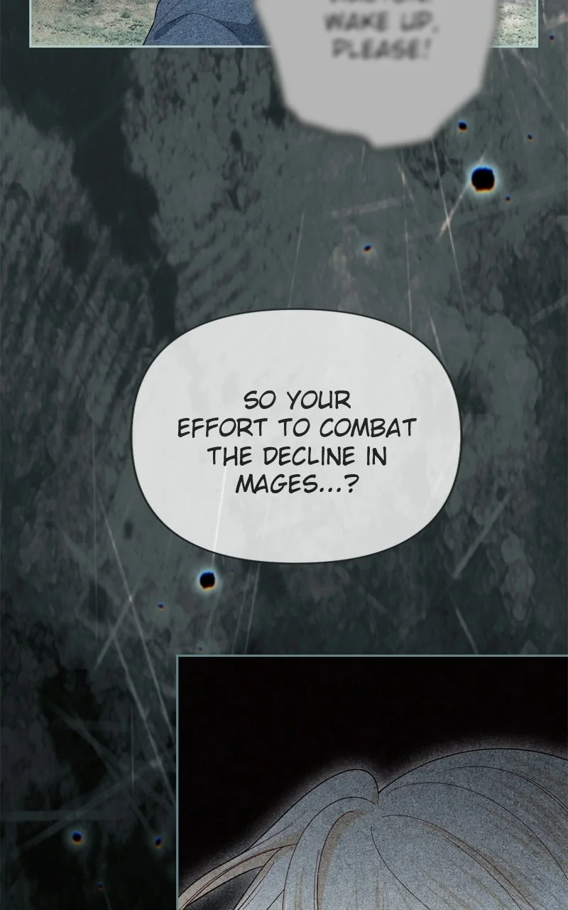 Read Remarried Empress Manga Online