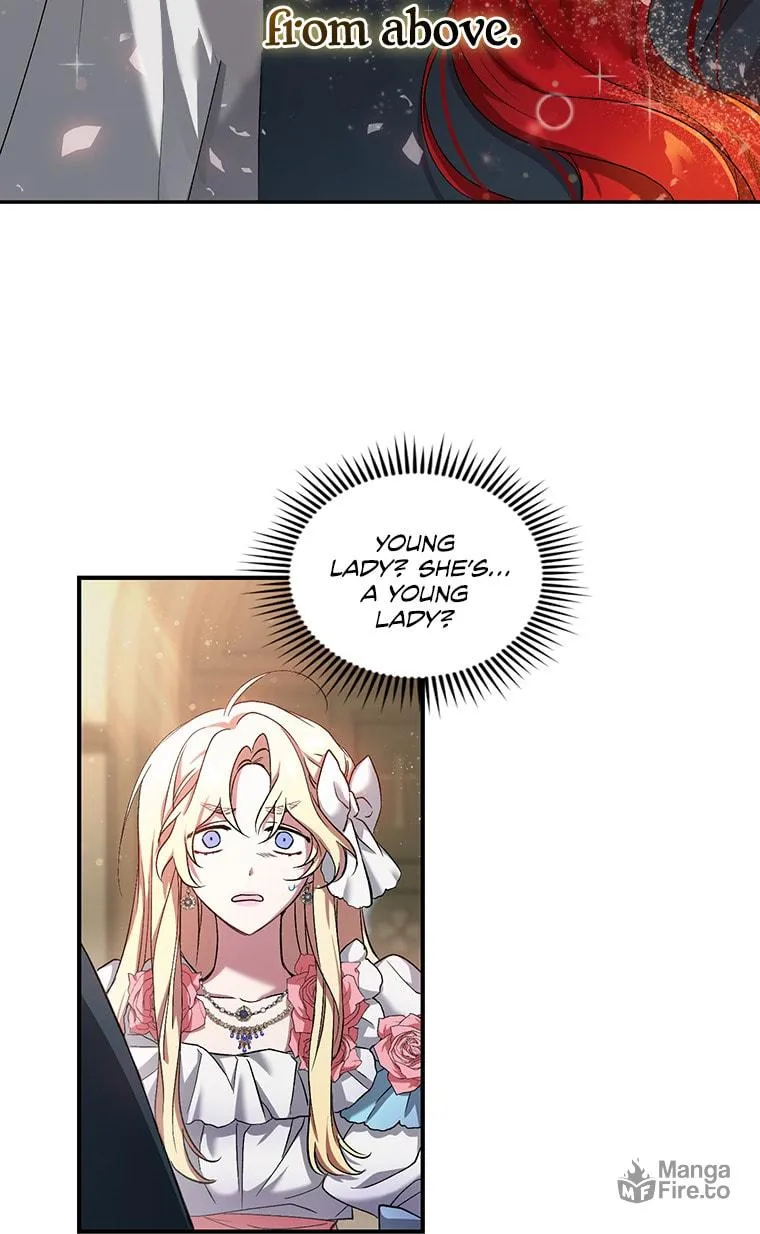 Read Resetting Lady Manga Online