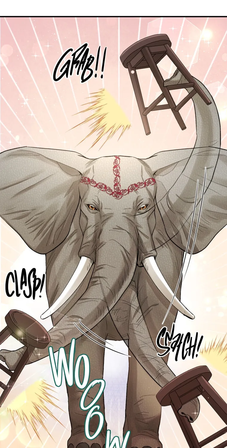 Read Resetting Lady Manga Online