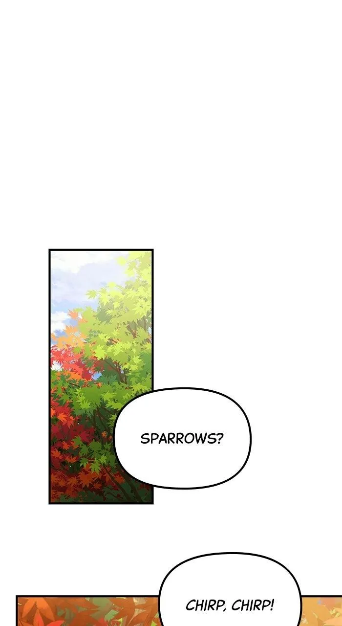 Read The Genius Wants an Ordinary Life Manga Online