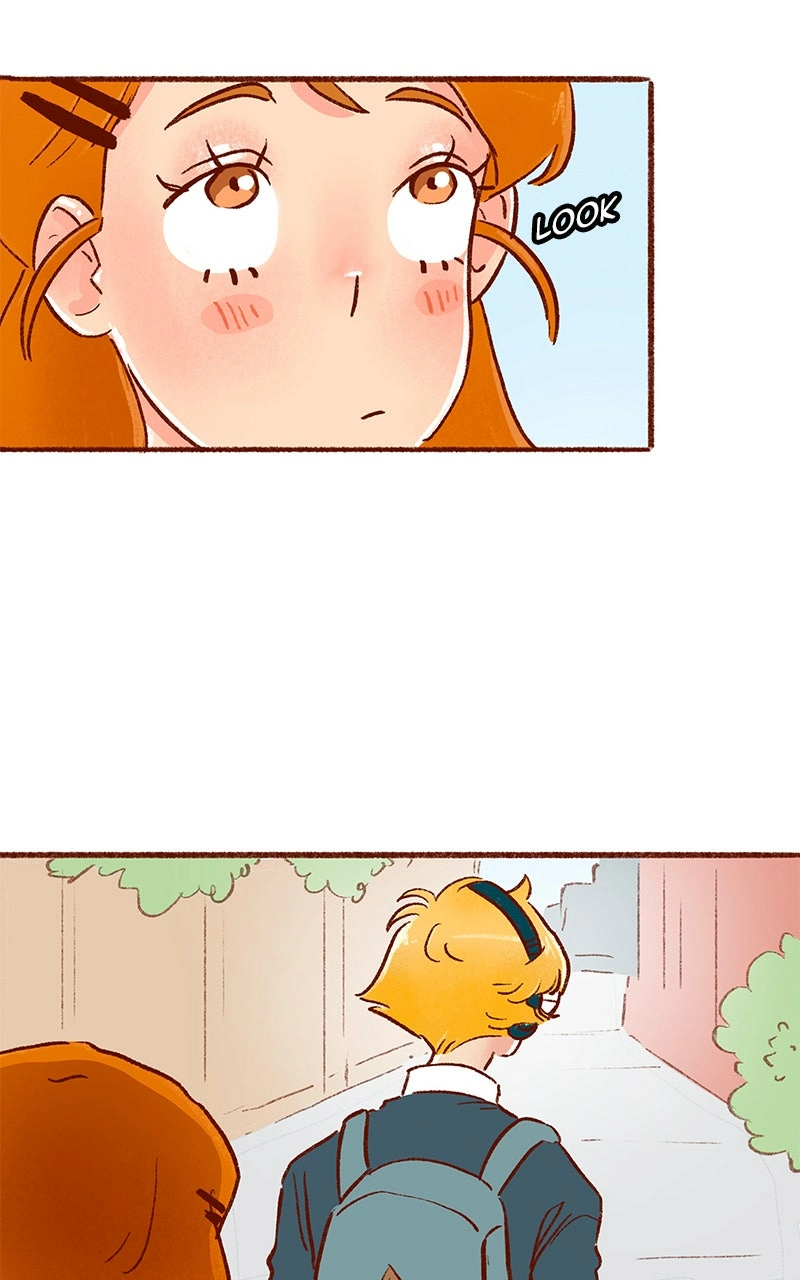 Read The Kiss Bet Manga Online