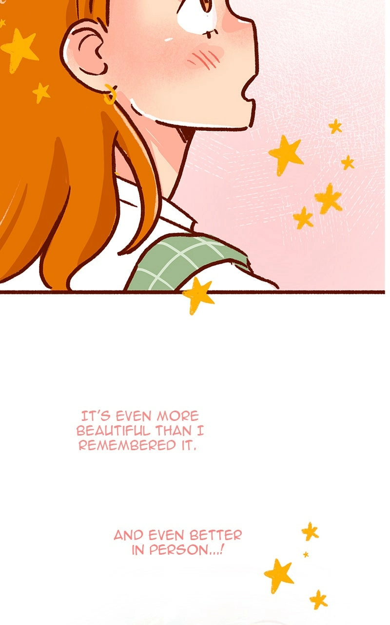 Read The Kiss Bet Manga Online