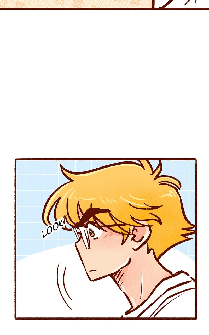 Read The Kiss Bet Manga Online