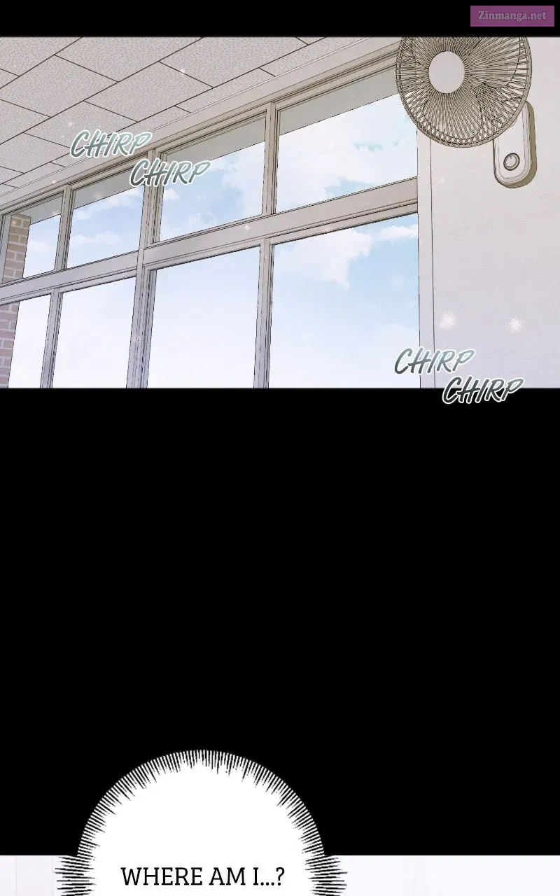 Read The Perfect Contract Manga Online