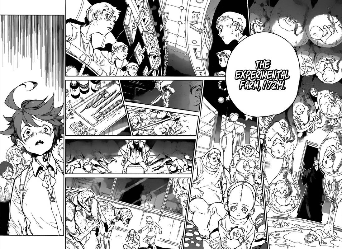 Read The Promised Neverland Manga Online