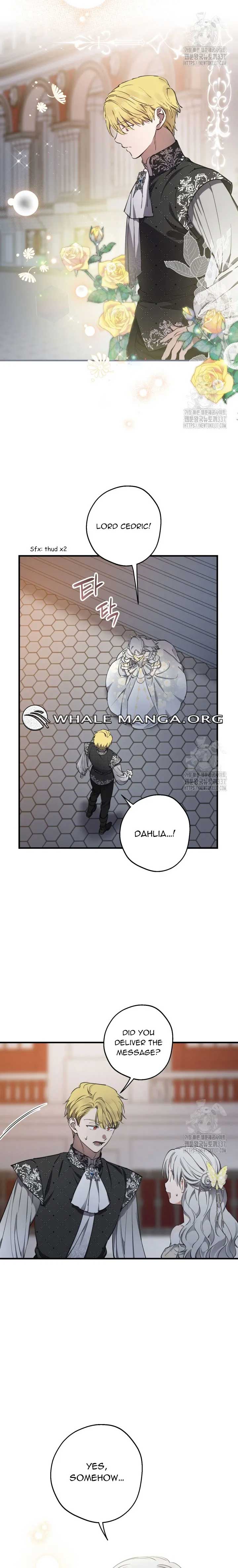 Read The most poweful characters in the world are crazy about me Manga Online