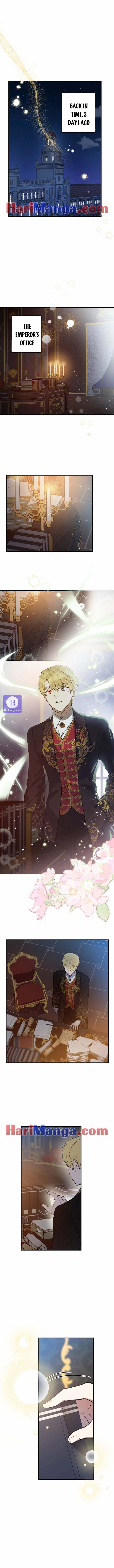 Read The most poweful characters in the world are crazy about me Manga Online