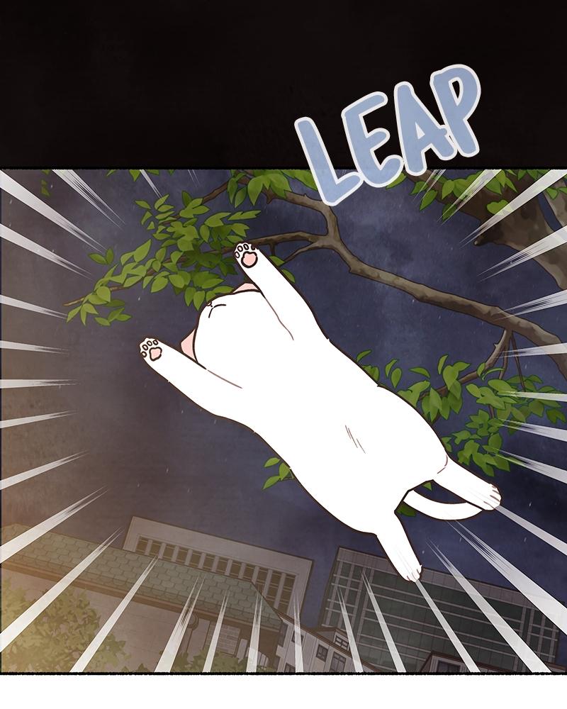 Read Transference Manga Online